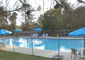 edited swimming pool 2016 new umbrellas